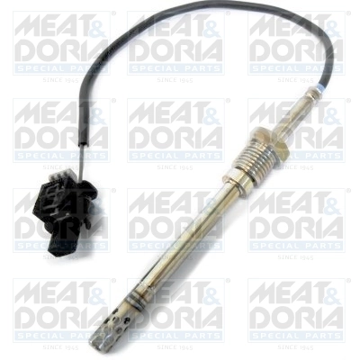 Sensor, exhaust gas temperature